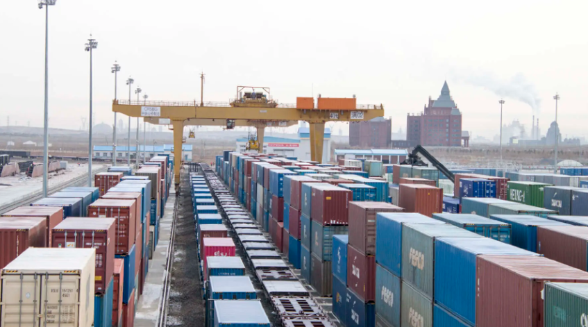 Ozon平台犬用护理用品销售额最高增5.5倍